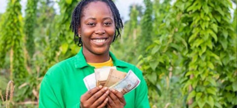 Ekiti State Government agriculture Governor Biodun Oyebanji
